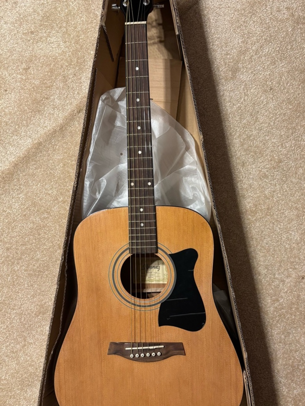 Ibanez Guitar